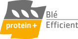 LOGO-PROTEIN-ble