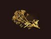 RAGT_CADRAN-GOLD_Sortenblatt