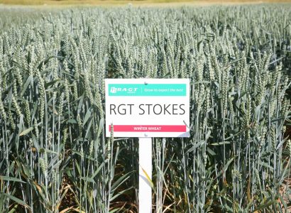 RGT Stokes