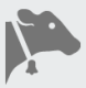 cow- picto