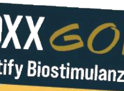 geoxx gold- communicaton picture